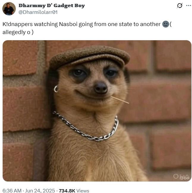 Dharmmy D' Gadget Boy @Dharmilolarr01 K!dnappers watching Nasboi going from one state to another allegedly o) 6:36 AM - Jun 24, 2025-734.8K Views ( Oboa