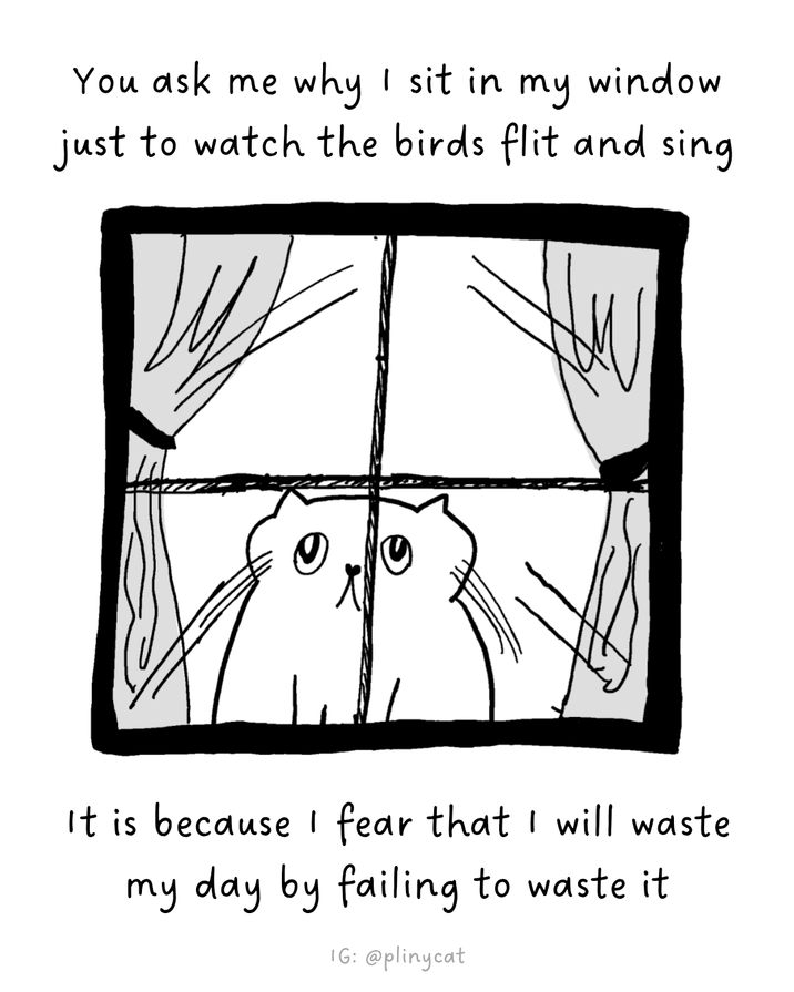 You ask me why I sit in my window just to watch the birds flit and sing It is because I fear that I will waste my day by failing to waste it IG: @plinycat