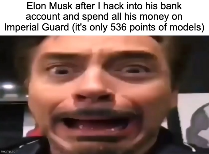 Elon Musk after I hack into his bank account and spend all his money on Imperial Guard (it's only 536 points of models) imgflip.com