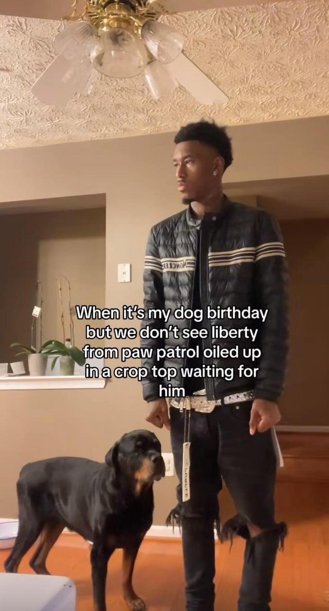 by When it's my dog birthday but we don't see liberty from paw patrol oiled up in a crop top waiting for him