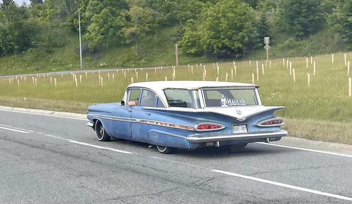 HAGENS CUSTOM WILL DOVY-447