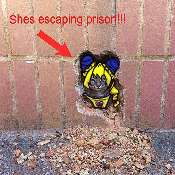 Shes escaping prison!!!