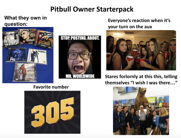 What they own in question: THE BOATLIFT pitbull Pitbull Pitbull Owner Starterpack STOP. POSTING. ABOUT. Everyone's reaction when it's your turn on the aux PIT PITBULL MR. WORLDWIDE Stares forlornly at this this, telling themselves "I wish I was there..." Pitbull Favorite number 305 ng men's
