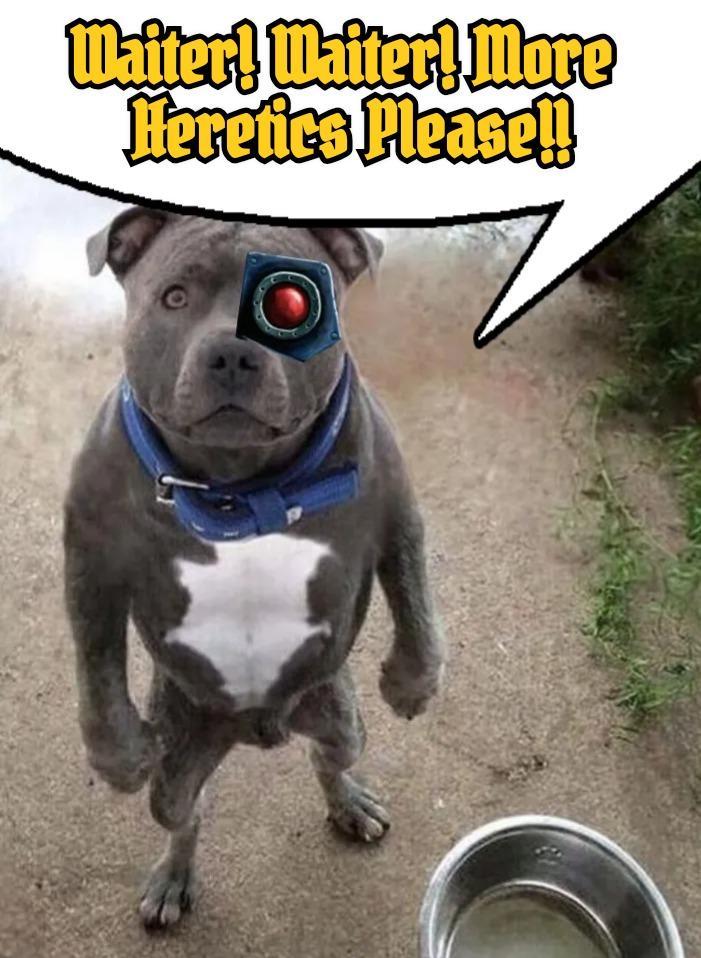 Waiter! Waiter! More Heretics Please!!