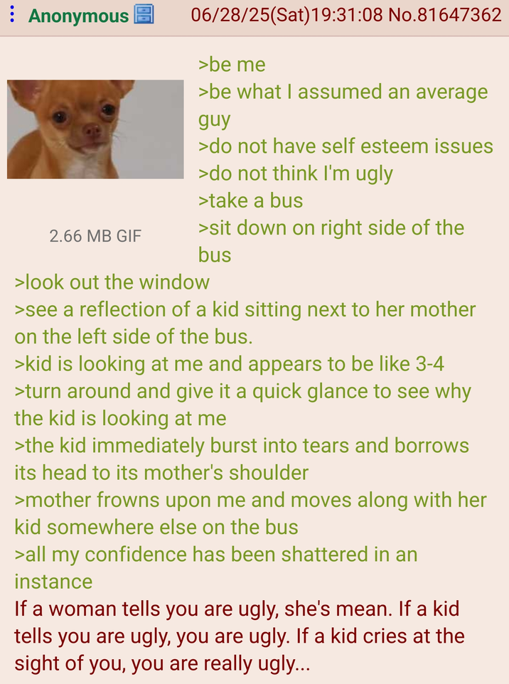 : Anonymous 2.66 MB GIF 06/28/25(Sat) 19:31:08 No.81647362 >be me >be what I assumed an average guy >do not have self esteem issues >do not think I'm ugly >take a bus >sit down on right side of the bus >look out the window >see a reflection of a kid sitting next to her mother on the left side of the bus. >kid is looking at me and appears to be like 3-4 >turn around and give it a quick glance to see why the kid is looking at me >the kid immediately burst into tears and borrows its head to its mother's shoulder >mother frowns upon me and moves along with her kid somewhere else on the bus >all my confidence has been shattered in an instance If a woman tells you are ugly, she's mean. If a kid tells you are ugly, you are ugly. If a kid cries at the sight of you, you are really ugly...