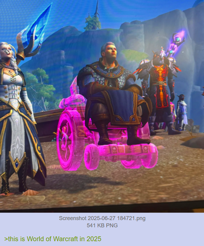 Screenshot 2025-06-27 184721.png 541 KB PNG >this is World of Warcraft in 2025