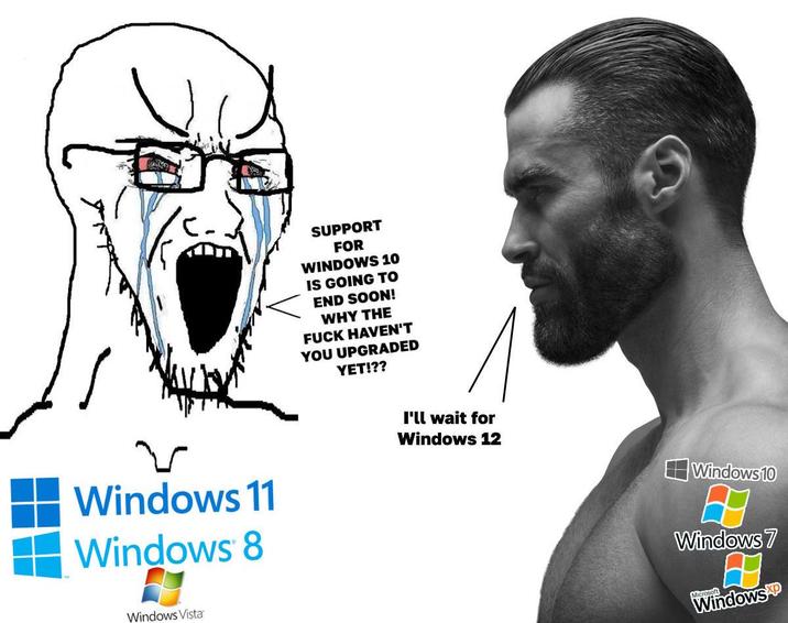 Windows 11 Windows 8 Windows Vista SUPPORT FOR WINDOWS 10 IS GOING TO END SOON! WHY THE F--- HAVEN'T YOU UPGRADED YET!?? I'll wait for Windows 12 Windows 10 Windows 7 Microsoft Windowsxp