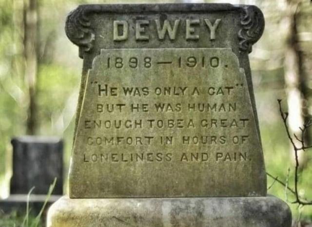 DEWEY 1898-1910. HE WAS ONLY A CAT BUT HE WAS HUMAN ENOUGH TOBEA GREAT COMFORT IN HOURS OF LONELINESS AND PAIN,