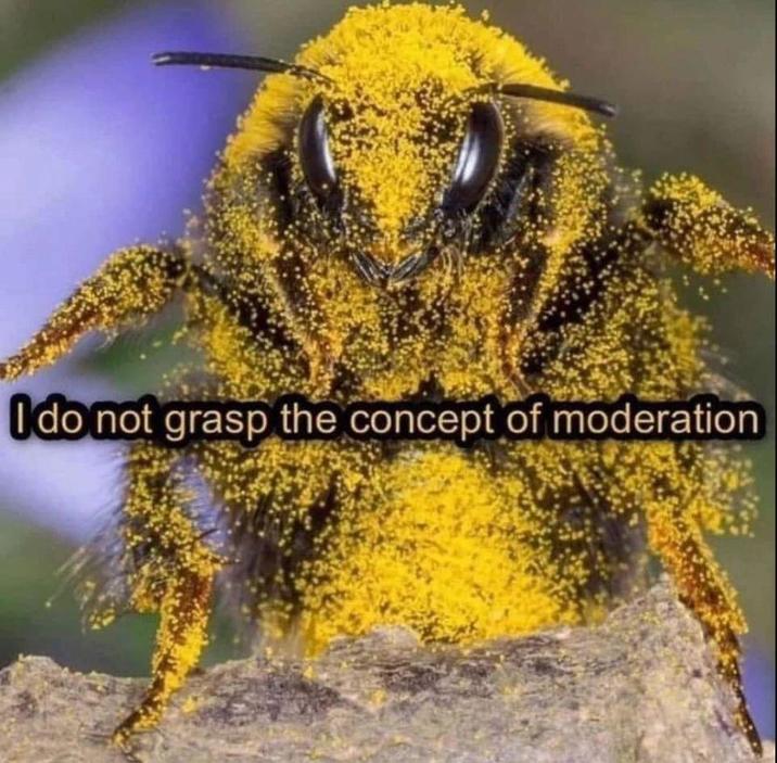 I do not grasp the concept of moderation