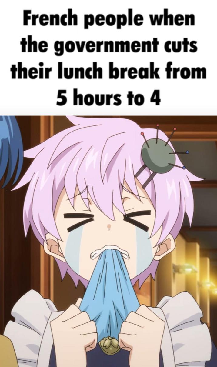 French people when the government cuts their lunch break from 5 hours to 4