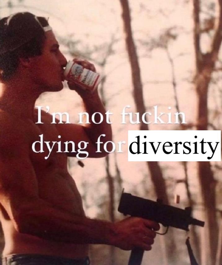 X user @LucasGageX tweeted a version of the meme that read, "I'm not f----- dying for diversity," gathering over 3,000 likes in three months.