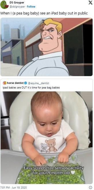 A meme about pea bag babies. The meme is attached to a "get a job" meme.