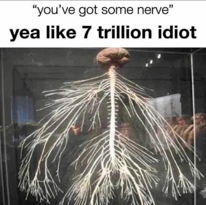 "you've got some nerve" yea like 7 trillion idiot