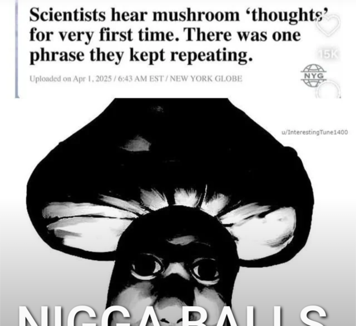 Scientists hear mushroom 'thoughts' for very first time. There was one phrase they kept repeating. Uploaded on Apr 1, 2025/6:43 AM EST/NEW YORK GLOBE NYG 15K u/Interesting Tune1400 NICCASRALLS