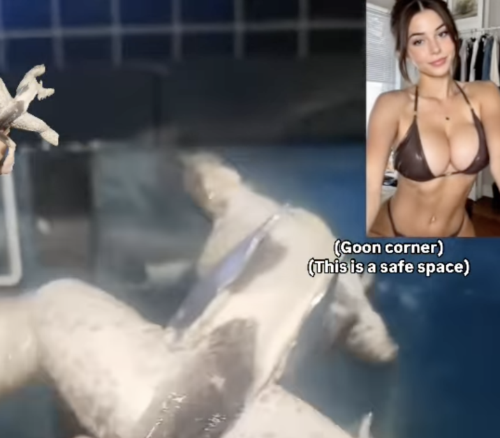 (Goon corner) (This is a safe space)