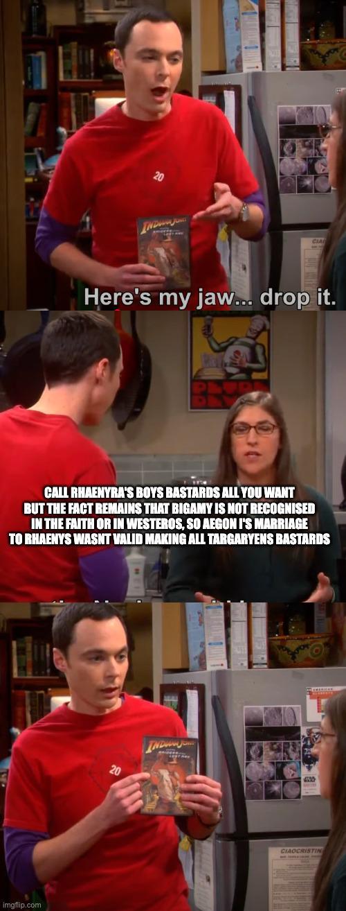 20 Here's my jaw... drop it. ta CALL RHAENYRA'S BOYS BASTARDS ALL YOU WANT BUT THE FACT REMAINS THAT BIGAMY IS NOT RECOGNISED IN THE FAITH OR IN WESTEROS, SO AEGON I'S MARRIAGE TO RHAENYS WASNT VALID MAKING ALL TARGARYENS BASTARDS imgflip.com 20 CIAOCRISTIN