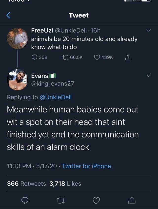 < Tweet FreeUzi @UnkleDell - 16h animals be 20 minutes old and already know what to do 308 1766.5K 439K Evans @king_evans27 Replying to @UnkleDell Meanwhile human babies come out wit a spot on their head that aint finished yet and the communication skills of an alarm clock 11:13 PM 5/17/20⚫ Twitter for iPhone 366 Retweets 3,718 Likes 27