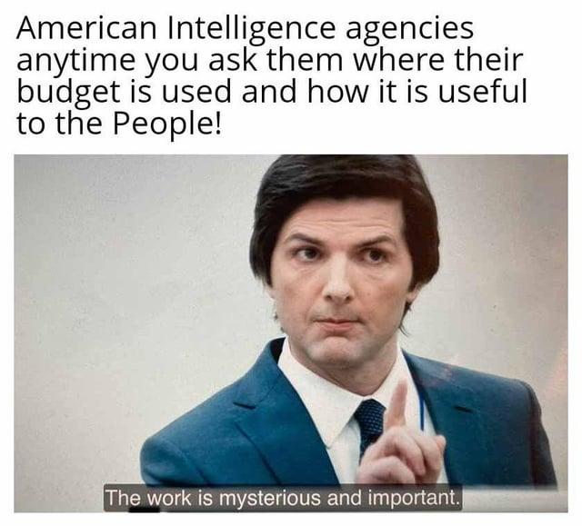 American Intelligence agencies anytime you ask them where their budget is used and how it is useful to the People! The work is mysterious and important.