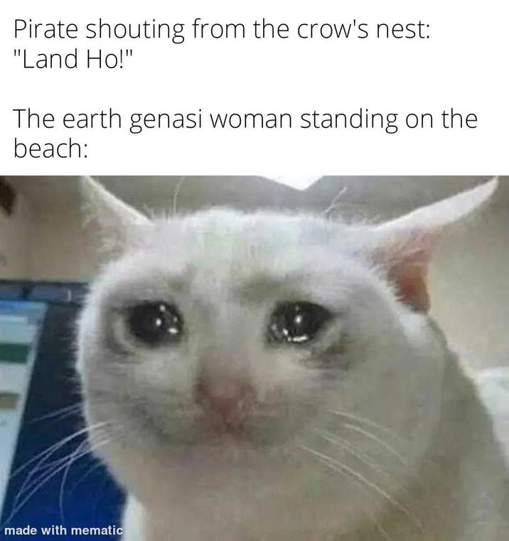 Pirate shouting from the crow's nest: "Land Ho!" The earth genasi woman standing on the beach: made with mematic