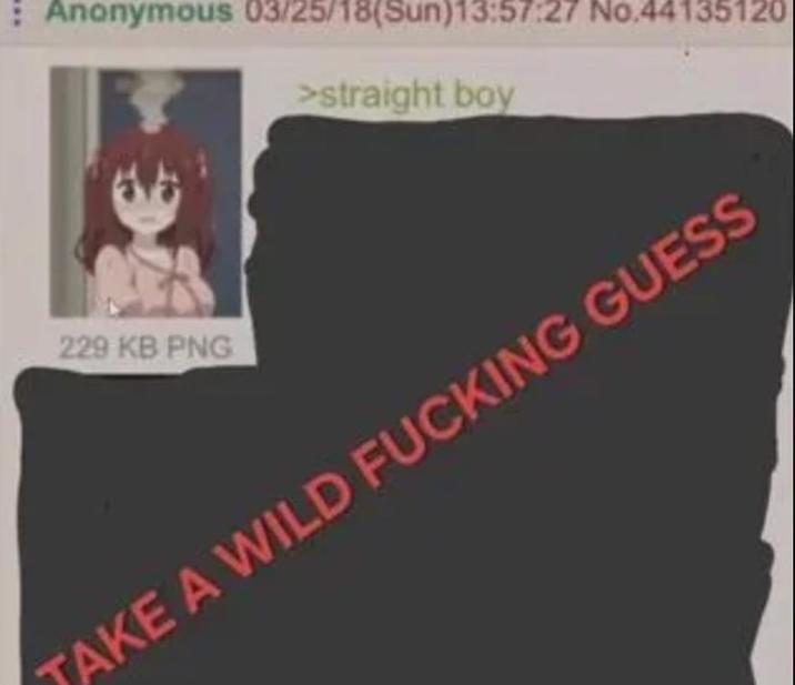 : Anonymous 03/25/18(Sun)13:57:27 No.44135120 >straight boy 229 KB PNG TAKE A WILD F------ GUESS
