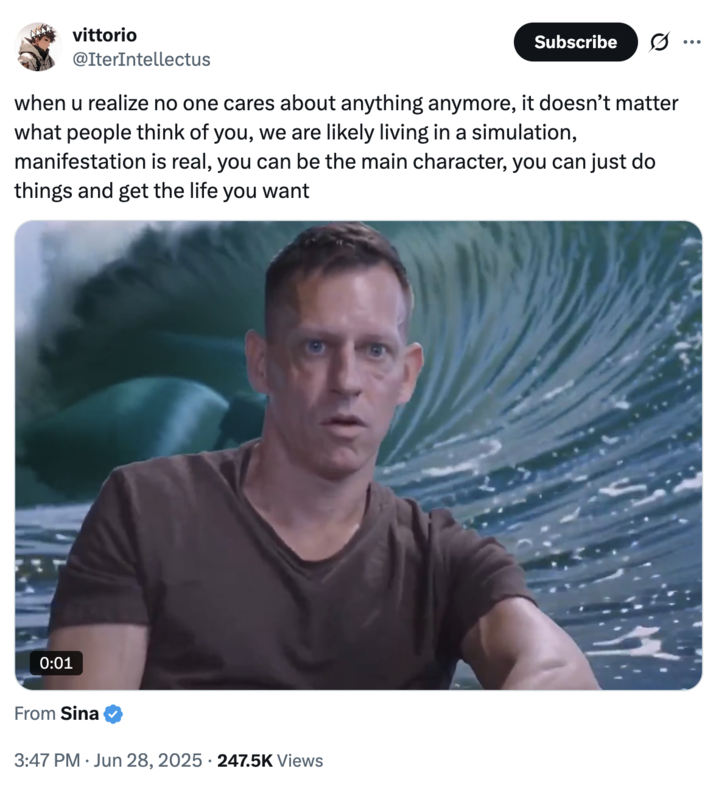 June 28th, 2025 tweet by @IterIntellectus X user @IterIntellectus tweeted, "when u realize no one cares about anything anymore, it doesn’t matter what people think of you, we are likely living in a simulation, manifestation is real, you can be the main character, you can just do things and get the life you want" alongside an video showing Peter Thiel with a wash crashing behind him.