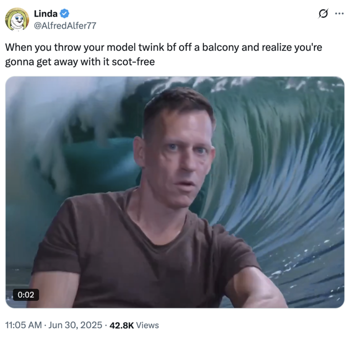 June 30th, 2025 tweet by @AlfredAlfer77 X user @AlfredAlfer77 tweeted a video of Peter Thiel with a wave crashing behind him and a caption that read, "When you throw your model twink bf off a balcony and realize you're gonna get away with it scot-free."