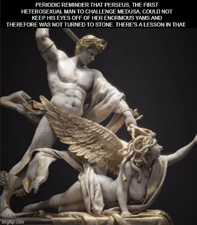 PERIODIC REMINDER THAT PERSEUS, THE FIRST HETEROSEXUAL MAN TO CHALLENGE MEDUSA, COULD NOT KEEP HIS EYES OFF OF HER ENORMOUS YAMS AND THEREFORE WAS NOT TURNED TO STONE. THERE'S A LESSON IN THAT. imgflip.com