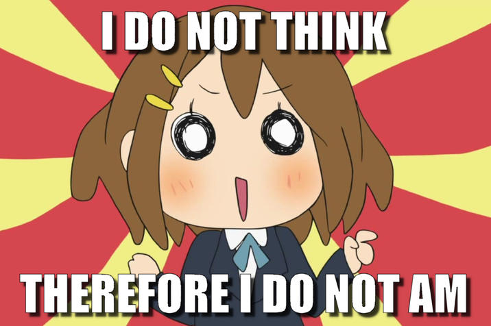 I DO NOT THINK THEREFORE I DO NOT AM