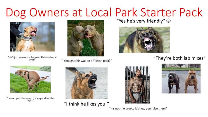 Dog Owners at Local Park Starter Pack "Yes he's very friendly" "He's just nervous- he loves kids and other dogs!" "They're both lab mixes" "I thought this was an off-leash park?" "I never pick these up. It's so good for the grass" "I think he likes you!" "It's not the breed; it's how you raise them"