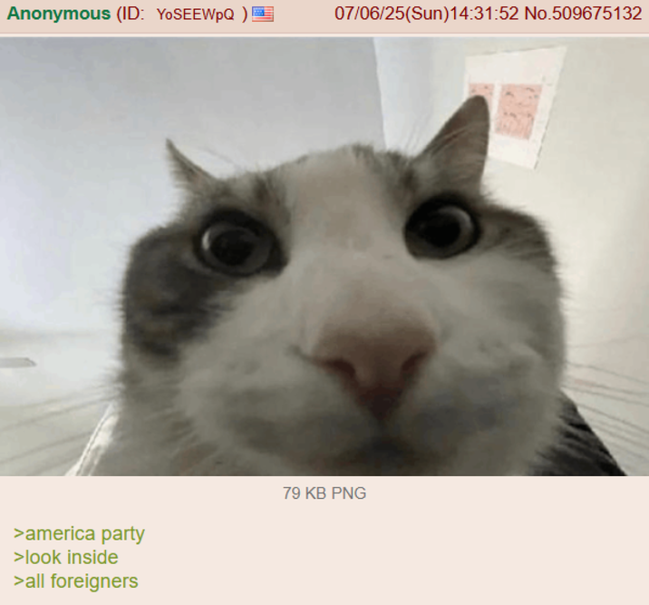 Intruder Alert | /r/Greentext Anonymous (ID: YOSEEWPQ ) 07/06/25(Sun)14:31:52 No.509675132 >america party >look inside >all foreigners 79 KB PNG