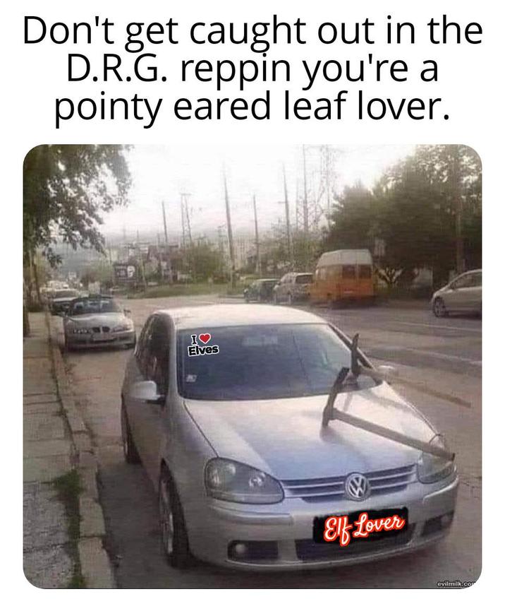 Don't get caught out in the D.R.G. reppin you're a pointy eared leaf lover. I Elves Elf Lover evilmilk.co