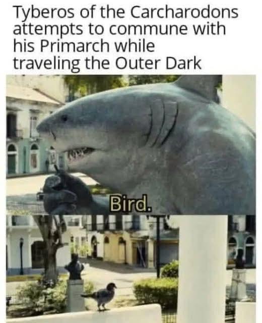Tyberos of the Carcharodons attempts to commune with his Primarch while traveling the Outer Dark Bird.