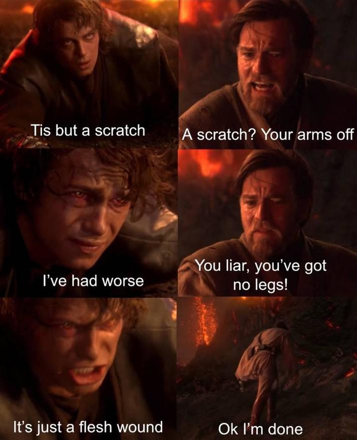 Tis but a scratch A scratch? Your arms off I've had worse You liar, you've got no legs! It's just a flesh wound Ok I'm done