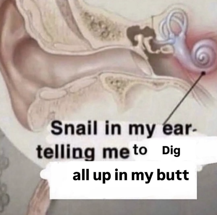 Snail in my ear telling me to dig all up in my butt A "Snail in My Ear Telling Me":https://knowyourmeme.com/memes/snail-in-my-ear-telling-me meme about the "Snail in my ear telling me to dig all up in my butt."