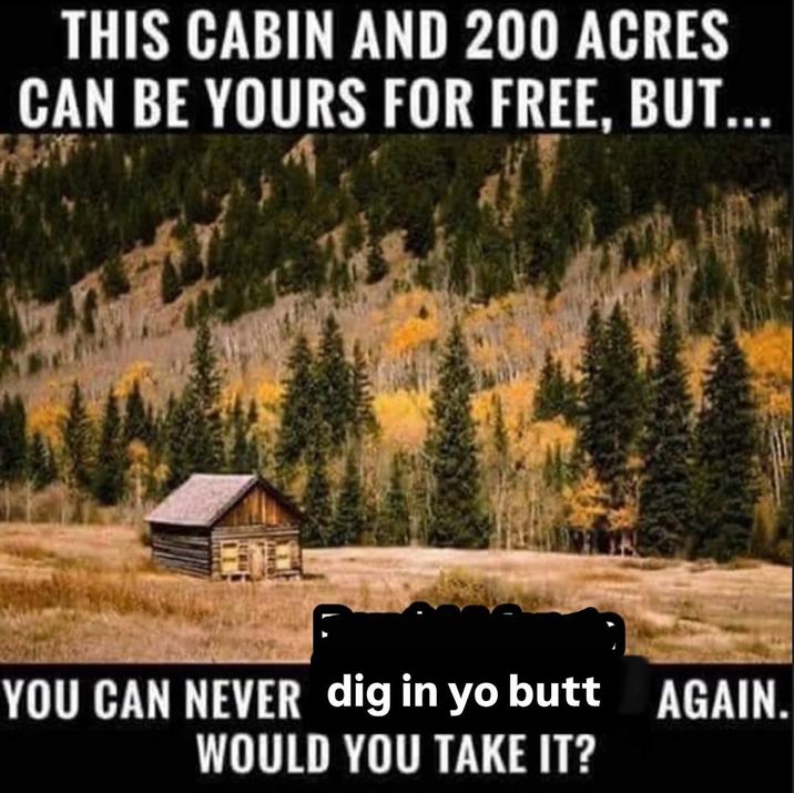 THIS CABIN AND 200 ACRES CAN BE YOURS FOR FREE, BUT... YOU CAN NEVER dig in yo butt AGAIN. WOULD YOU TAKE IT? A "meme":https://knowyourmeme.com/memes/memes about having a cabin with 200 acres but you can never dig in yo butt again.