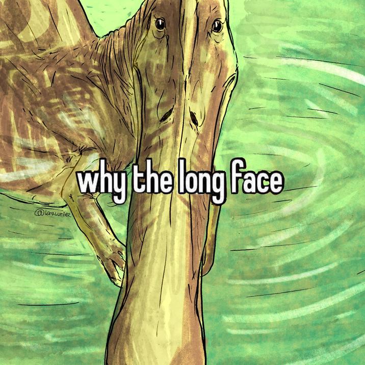@kiracuriee why the long face