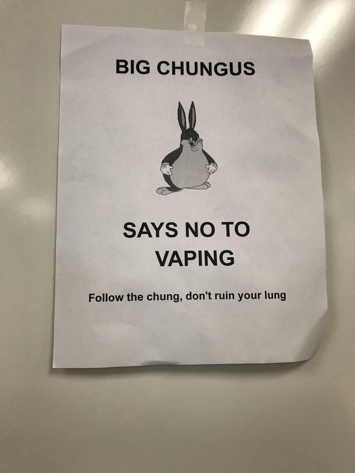 BIG CHUNGUS SAYS NO TO VAPING Follow the chung, don't ruin your lung