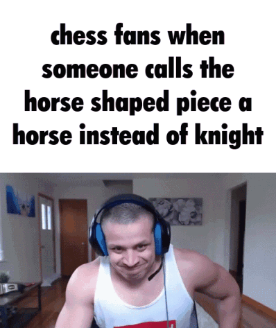 chess fans when someone calls the horse shaped piece a horse instead of knight