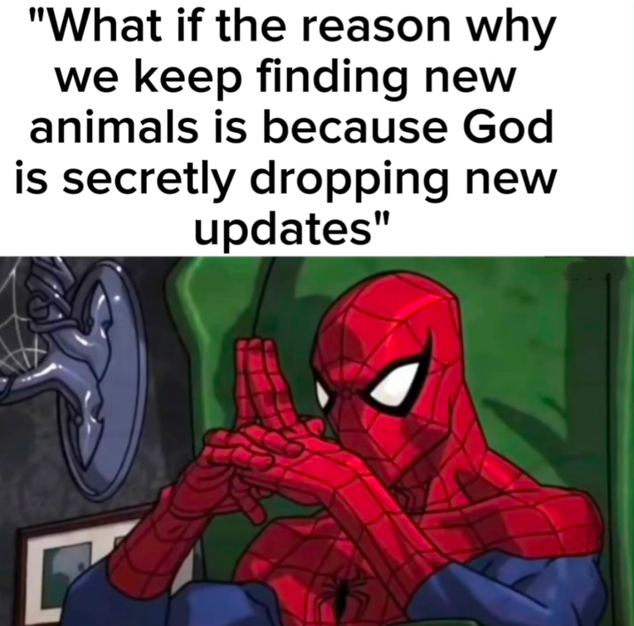 "What if the reason why we keep finding new animals is because God is secretly dropping new updates"