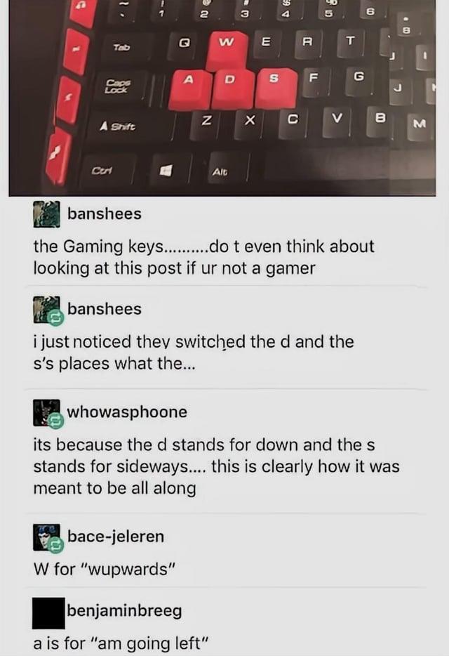 1 1 1 A E Tab G 2 W 3 E Caps Lock A Shift Cer A D N S × Alt D R T FI G C V B B M banshees the Gaming keys..........do t even think about looking at this post if ur not a gamer banshees i just noticed they switched the d and the s's places what the... whowasphoone its because the d stands for down and the s stands for sideways.... this is clearly how it was meant to be all along bace-jeleren W for "wupwards" benjaminbreeg a is for "am going left"