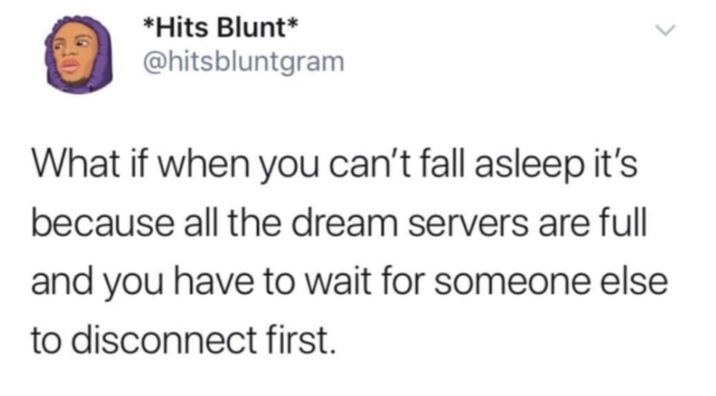 What if when you can’t fall asleep it’s because all the dream servers are full and you have to wait for someone else to disco A "tweet":https://knowyourmeme.com/memes/sites/twitter-x reading, "What if when you can’t fall asleep it’s because all the dream servers are full and you have to wait for someone else to disconnect first."