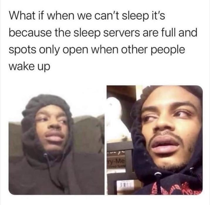 *Hits Blunt* A "Hits Blunt":https://knowyourmeme.com/memes/hits-blunt meme reading, "What if when we can't sleep it's because the sleep servers are full and spots only open when other people wake up."