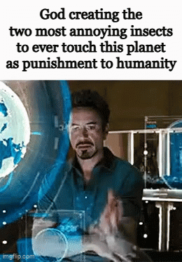 God creating the two most annoying insects to ever touch this planet as punishment to humanity imgflip.com ال