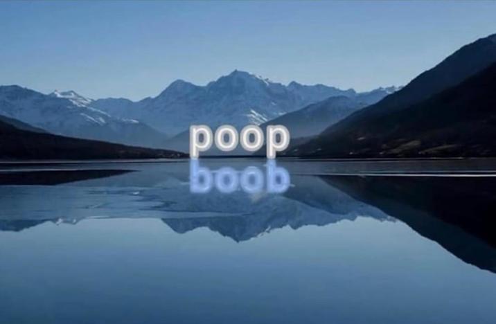 poop boob