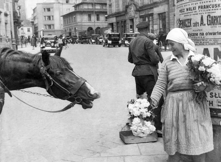 421E ONIA 20-go CZERWCA MECZ WALKI FRANCUSK wwem WL PYTLASINSKI ICEKA. GARKO POZATEM MASTAZ PO styczne na otwarte ORRIESTRA dia daer 180 grosay 11 ao AN SŁU HE