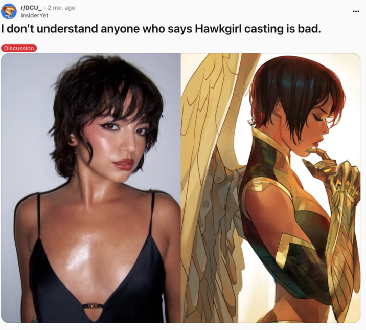 I don’t understand anyone who says Hawkgirl casting is bad. A "Reddit":https://knowyourmeme.com/memes/sites/reddit post about the casting of Isabela Merced as Hawkgirl in the 2025 "_Superman_":https://knowyourmeme.com/memes/subcultures/superman-2025-film film, directed by James Gunn.