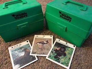 Wildlife Treasury Wildlife Treasury