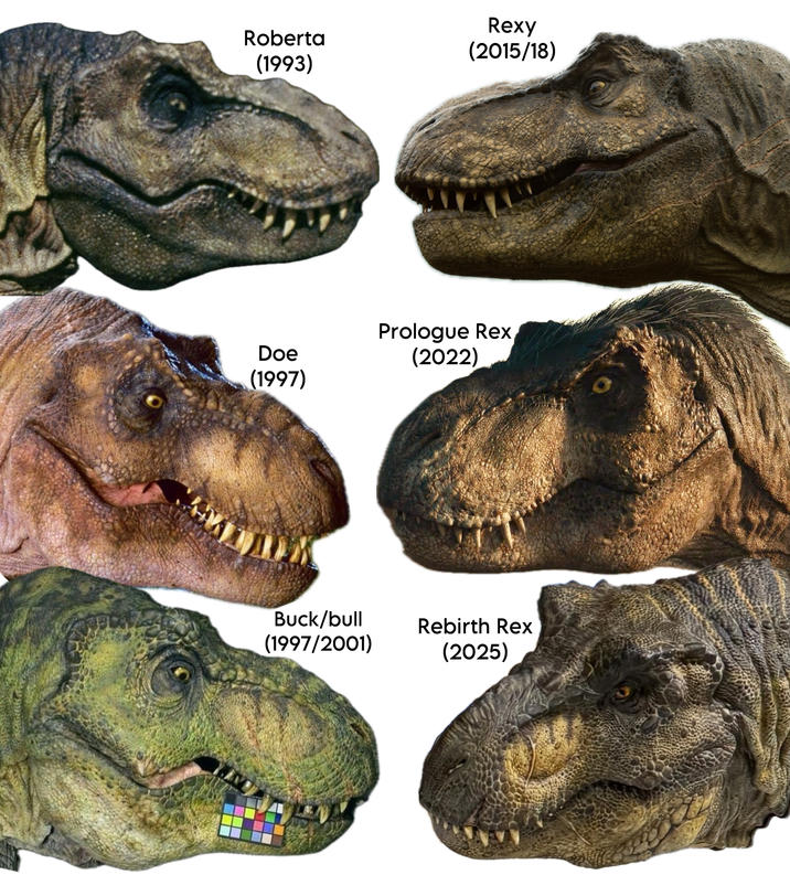 Roberta (1993) Rexy (2015/18) Doe (1997) Prologue Rex (2022) Buck/bull (1997/2001) Rebirth Rex (2025)