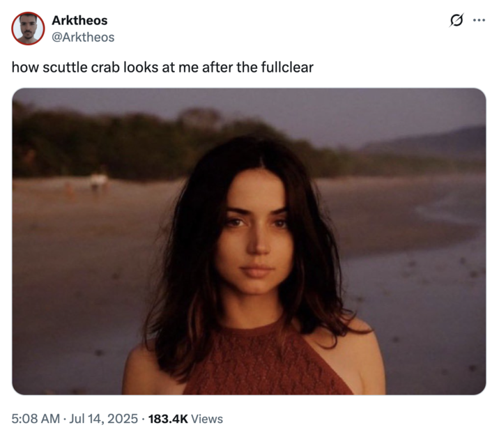A "tweet":https://knowyourmeme.com/memes/sites/twitter-x using the Ana de Armas Beach Look photo, captioned, "How scuttle crab looks at me after the fullclear."