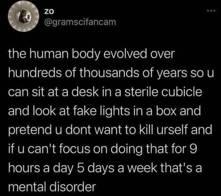 ZO @gramscifancam 600 the human body evolved over hundreds of thousands of years so u can sit at a desk in a sterile cubicle and look at fake lights in a box and pretend u dont want to kill urself and if u can't focus on doing that for 9 hours a day 5 days a week that's a mental disorder